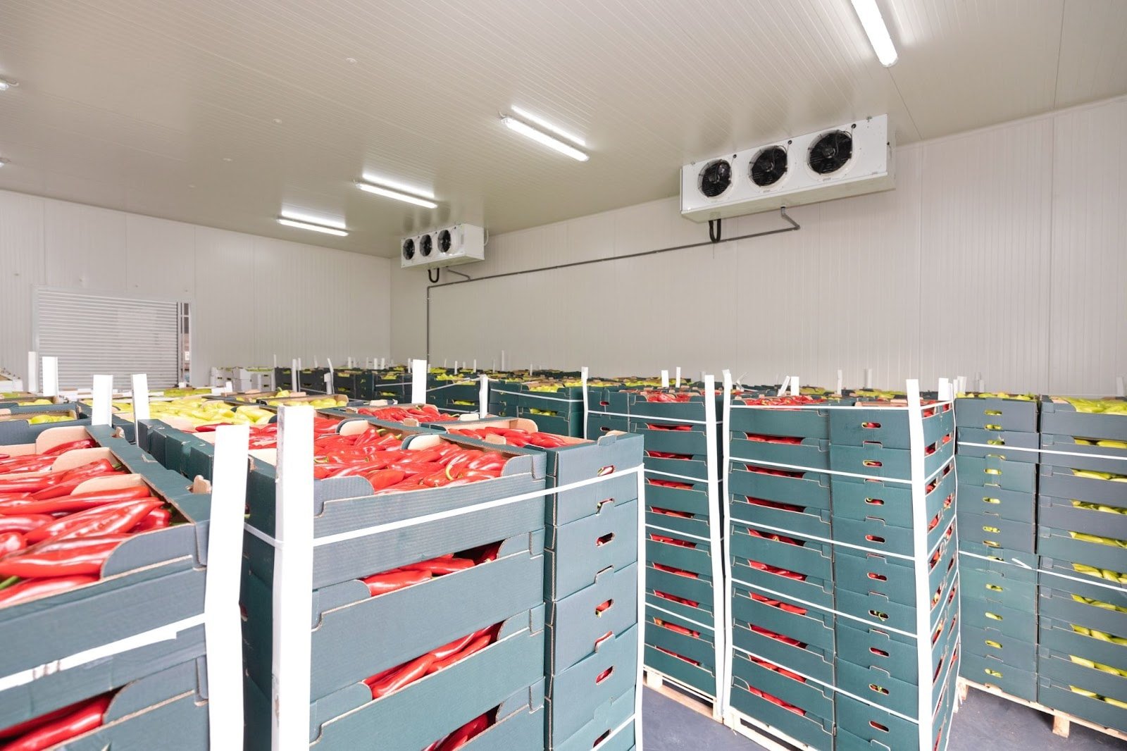 Farm & Sourcing
